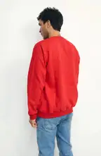 Ver foto 2: Buzo de frisa cuello redondo rojo, de espalda